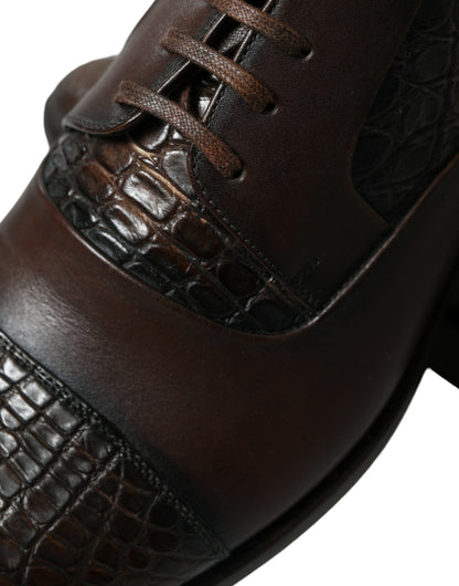 Dolce &amp; Gabbana – Oxford-Schnürschuhe aus exotischem Leder in Braun
