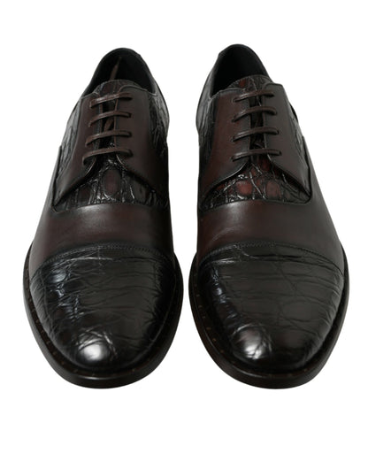 Dolce &amp; Gabbana – Formelle Herrenschuhe aus exotischem Leder in Braun
