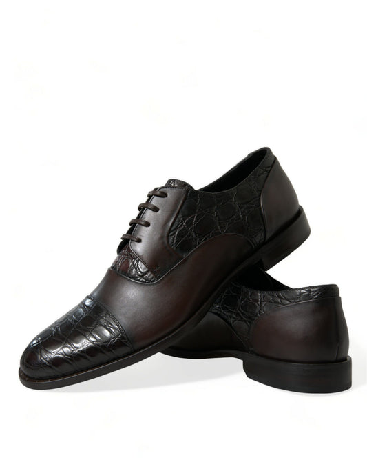 Dolce &amp; Gabbana – Formelle Herrenschuhe aus exotischem Leder in Braun