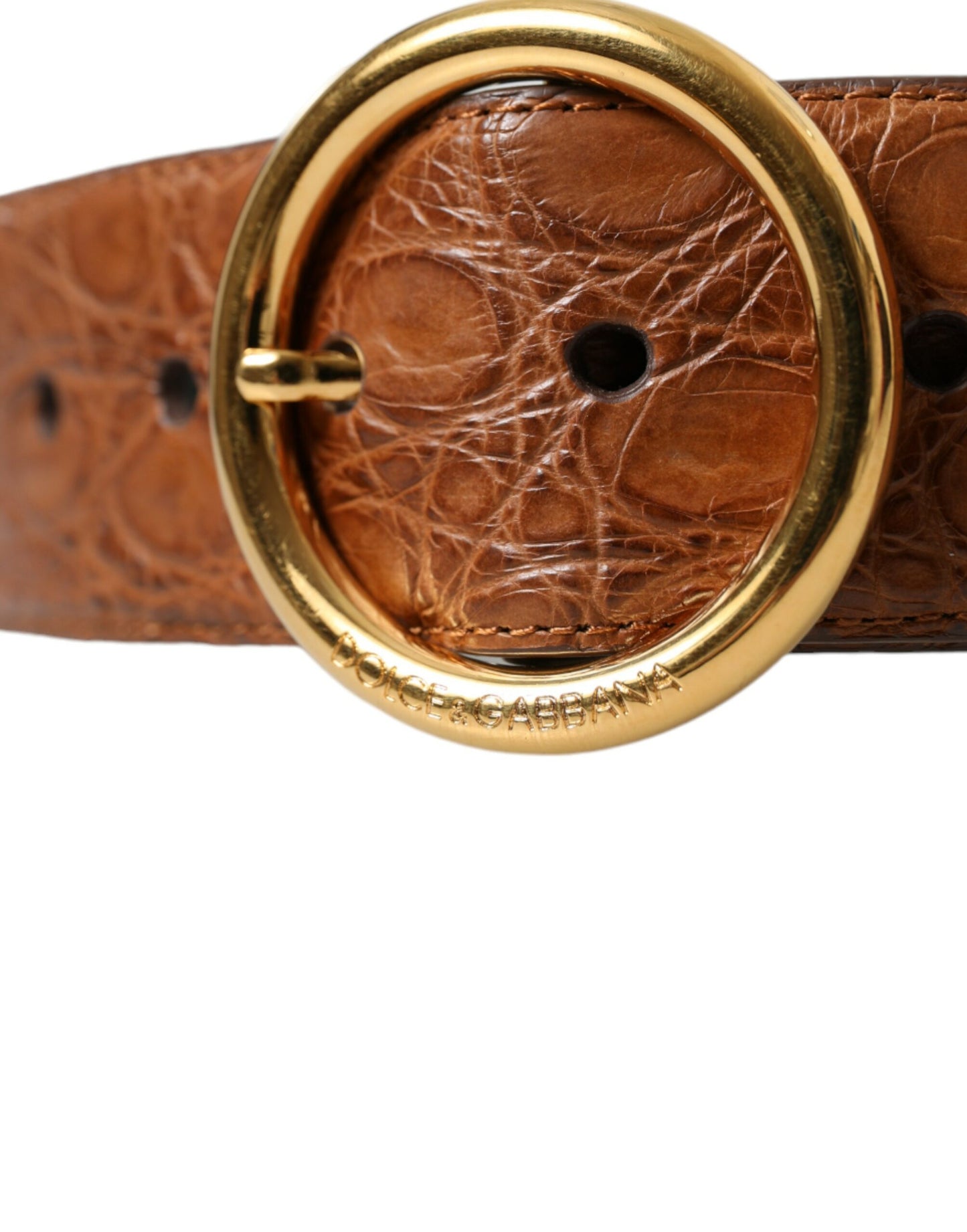 Dolce &amp; Gabbana Brown Exotic Leather Round Buckle Belt
