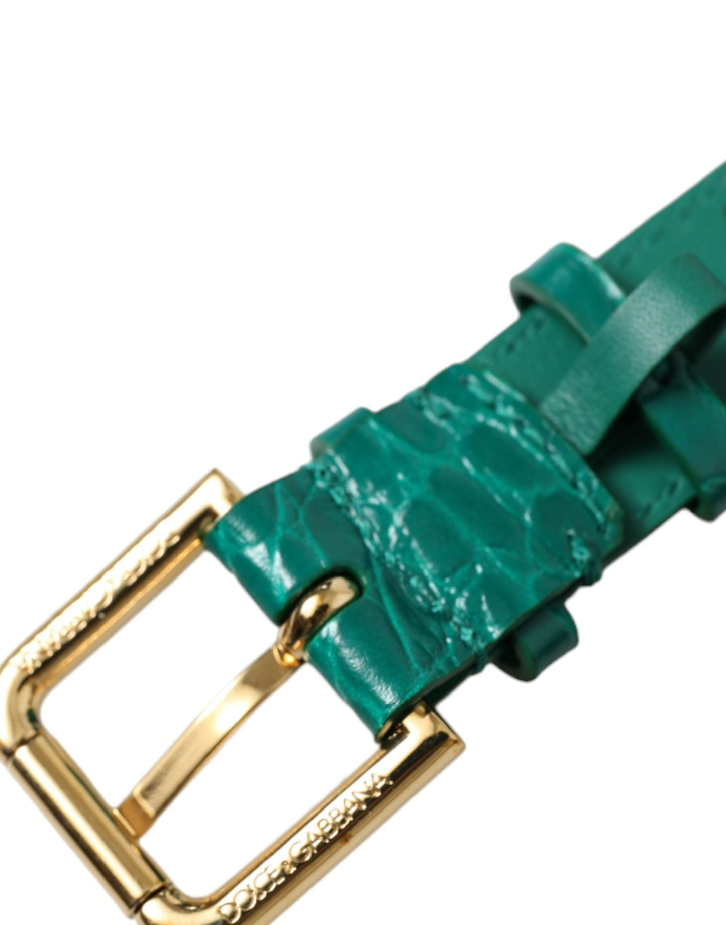 Dolce &amp; Gabbana Green Textured Leather Gold Tone Metal Buckle Neckband