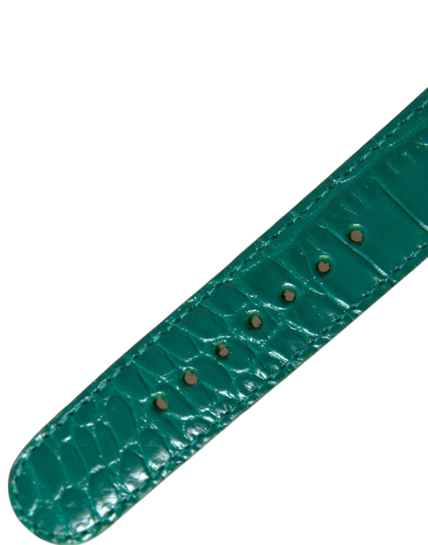 Dolce &amp; Gabbana Green Textured Leather Gold Tone Metal Buckle Neckband