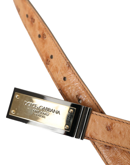 Dolce &amp; Gabbana – Beigefarbener Ledergürtel mit goldfarbener Logo-Gravur