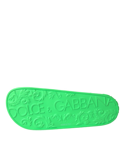 Dolce &amp; Gabbana Grüne Leder-Sandalen, Strandschuhe
