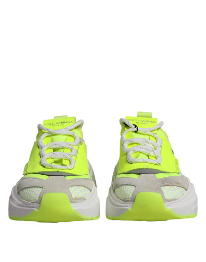 Dolce &amp; Gabbana Mehrfarbige Daymaster Low Top Sneakers Schuhe