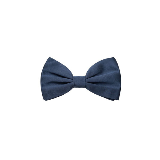 Dolce &amp; Gabbana Blaue Seidenfliege