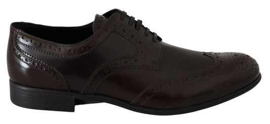 Dolce &amp; Gabbana – Broques-Oxford-Schuhe aus braunem Leder mit Flügelkappe