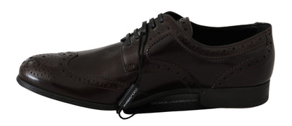 Dolce &amp; Gabbana – Broques-Oxford-Schuhe aus braunem Leder mit Flügelkappe
