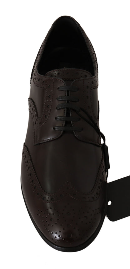 Dolce &amp; Gabbana – Broques-Oxford-Schuhe aus braunem Leder mit Flügelkappe