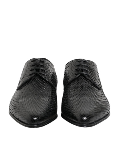 Dolce &amp; Gabbana – Derby-Schnürschuhe aus exotischem Leder in Schwarz