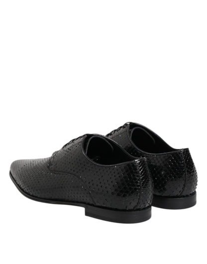 Dolce &amp; Gabbana – Derby-Schnürschuhe aus exotischem Leder in Schwarz