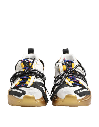 Dolce &amp; Gabbana Multicolor Daymaster Low Top Sneakers Shoes